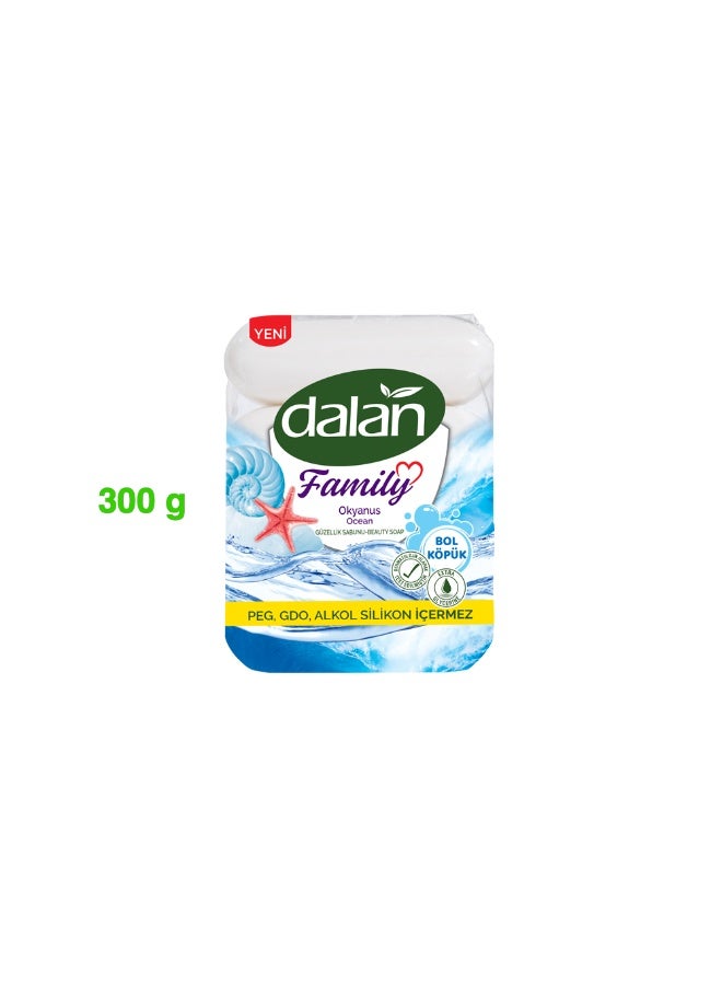 DALAN FAMILY SOAP 75X4 OCEAN - Image 2